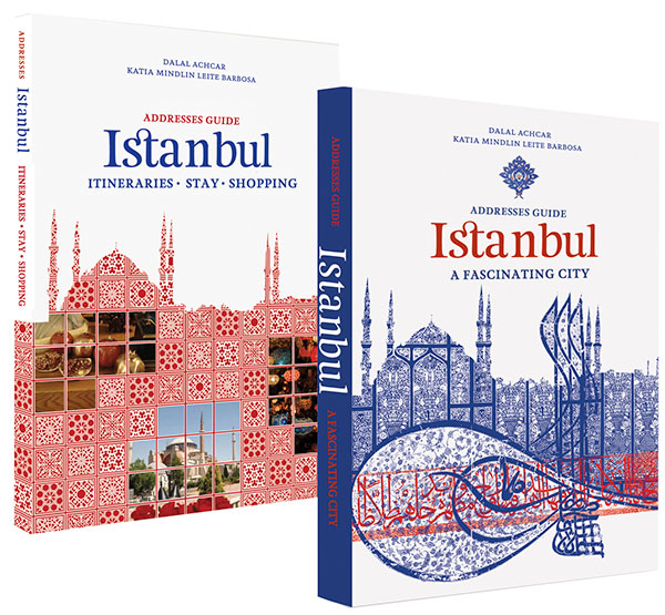 ISTANBUL CITY GUIDE 2019 (français): COLLECTIF: 9782369831495